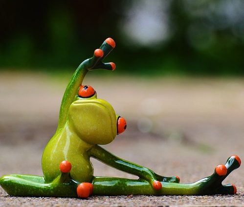 Eine Froschpuppe beim Dehnen